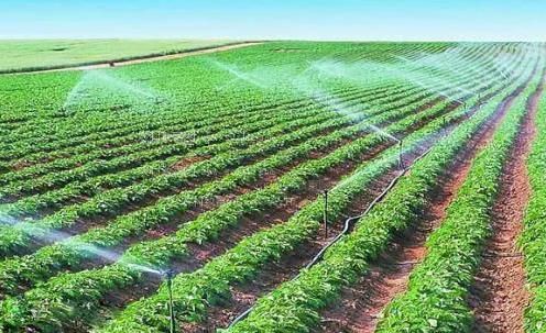 欧美胖女人性生活视频农田高 效节水灌溉